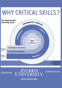 Why Critical Skills